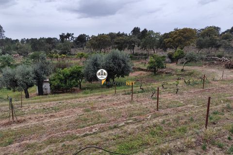 Landejendom i Castelo Branco, Castelo Branco, Castelo Branco - € 400.000 | Ref: 2975 - foto 33