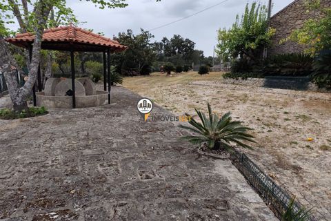 Landejendom i Castelo Branco, Castelo Branco, Castelo Branco - € 400.000 | Ref: 2975 - foto 34