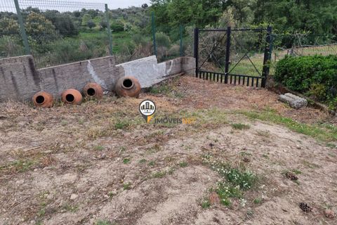 Landejendom i Castelo Branco, Castelo Branco, Castelo Branco - € 400.000 | Ref: 2975 - foto 38