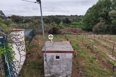 Landejendom i Castelo Branco, Castelo Branco, Castelo Branco - € 400.000 | Ref: 2975 - foto 40