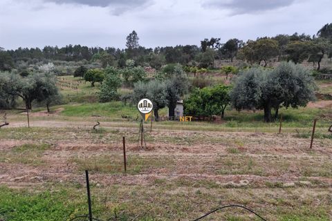 Landejendom i Castelo Branco, Castelo Branco, Castelo Branco - € 400.000 | Ref: 2975 - foto 42