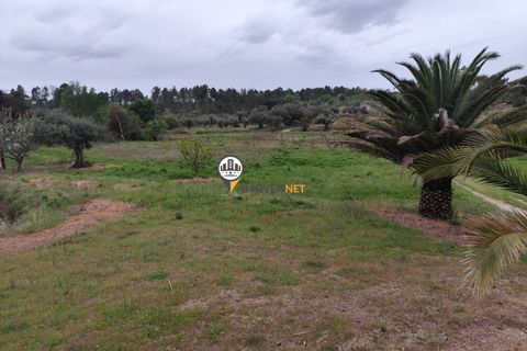 Landejendom i Castelo Branco, Castelo Branco, Castelo Branco - € 400.000 | Ref: 2975 - foto 46