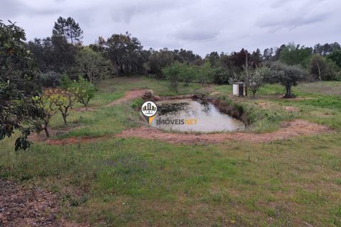 Landejendom i Castelo Branco, Castelo Branco, Castelo Branco - € 400.000 | Ref: 2975 - foto 47