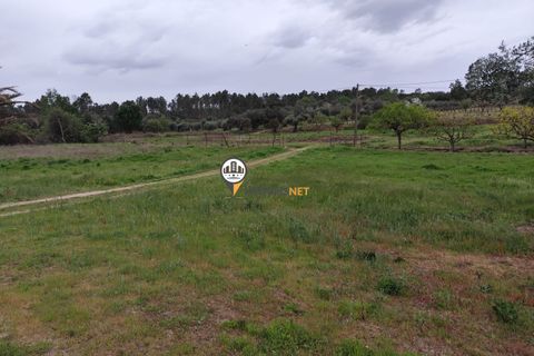 Landejendom i Castelo Branco, Castelo Branco, Castelo Branco - € 400.000 | Ref: 2975 - foto 48