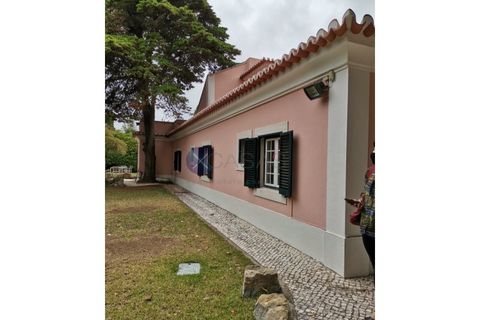 Villa a Cascais, Lisbon, Cascais - € 14.750/mes | Ref: XCV0640 - foto 27