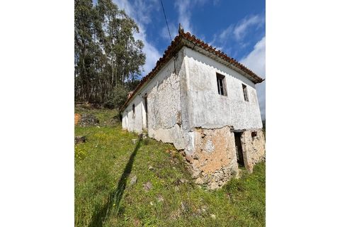 Villa i Abrantes, Santarem, Abrantes - € 139.000 | Ref: 273 - foto 5