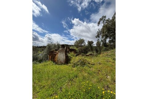Villa i Abrantes, Santarem, Abrantes - € 139.000 | Ref: 273 - foto 9