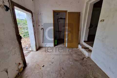 Villa i Chamusca, Santarem, Chamusca - € 130.000 | Ref: MOR4477 - foto 9