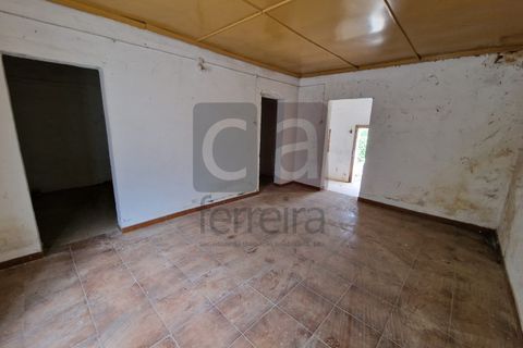 Villa i Chamusca, Santarem, Chamusca - € 130.000 | Ref: MOR4477 - foto 15