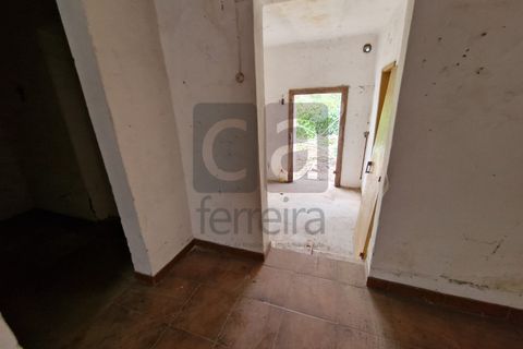 Villa i Chamusca, Santarem, Chamusca - € 130.000 | Ref: MOR4477 - foto 16