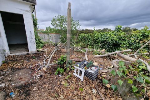 Villa i Chamusca, Santarem, Chamusca - € 130.000 | Ref: MOR4477 - foto 18