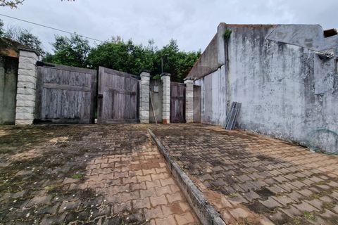 Villa i Chamusca, Santarem, Chamusca - € 130.000 | Ref: MOR4477 - foto 19