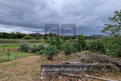 Villa i Chamusca, Santarem, Chamusca - € 130.000 | Ref: MOR4477 - foto 26
