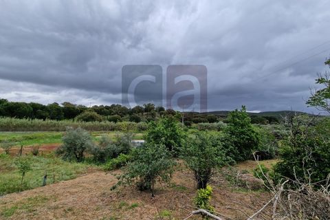 Villa i Chamusca, Santarem, Chamusca - € 130.000 | Ref: MOR4477 - foto 27