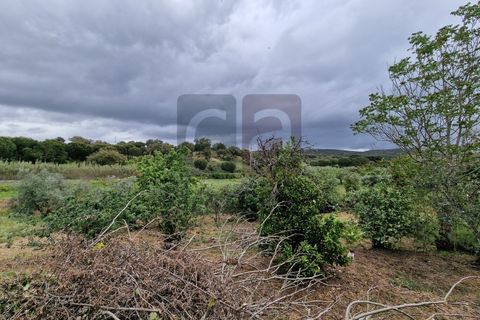 Villa i Chamusca, Santarem, Chamusca - € 130.000 | Ref: MOR4477 - foto 29