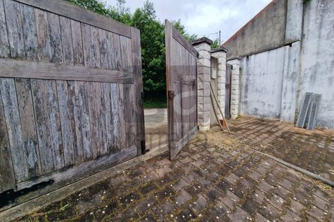 Villa i Chamusca, Santarem, Chamusca - € 130.000 | Ref: MOR4477 - foto 30
