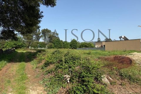 Helårsgrund i Penafiel, Porto, Penafiel - € 225.000 | Ref: MP-EF-T-385 - foto 12
