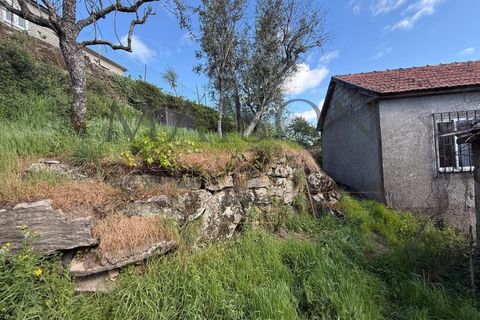 Villa i Cinfaes, Viseu, Cinfaes - € 30.000 | Ref: MP-EF-M-386 - foto 9