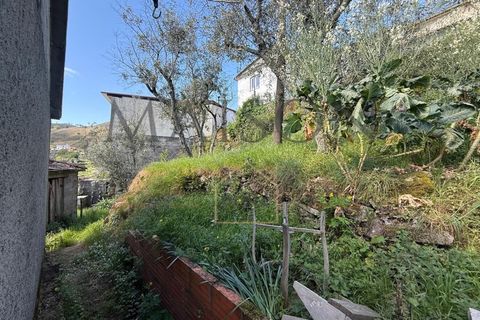 Villa i Cinfaes, Viseu, Cinfaes - € 30.000 | Ref: MP-EF-M-386 - foto 14