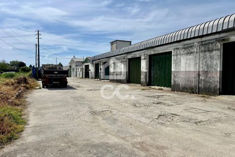 Farm hus i Maia, Porto, Maia - € 1.800.000 | Ref: 395/M/00342 - foto 12
