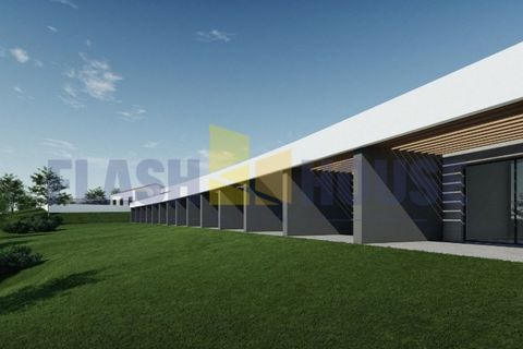 Erhvervsejendom i Silves, Faro, Silves - € 1.250.000 | Ref: FHCL5009 - foto 5