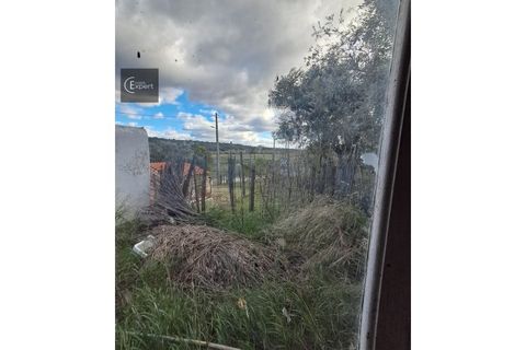 Terra a Torrao, Setubal, Torrao - € 35.000 | Ref: SÒL_202 - foto 2