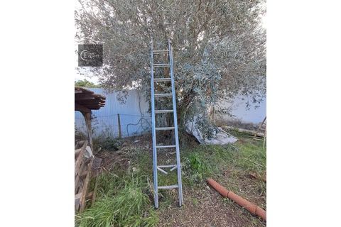 Terra a Torrao, Setubal, Torrao - € 35.000 | Ref: SÒL_202 - foto 3