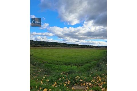 Terra a Torrao, Setubal, Torrao - € 35.000 | Ref: SÒL_202 - foto 5