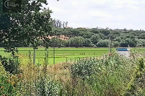 Farm hus i Torrao, Setubal, Torrao - € 250.000 | Ref: FIN_46 - foto 2