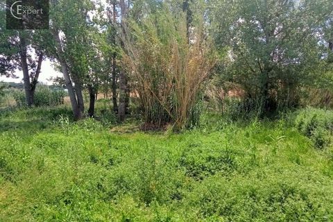 Farm hus i Torrao, Setubal, Torrao - € 250.000 | Ref: FIN_46 - foto 4