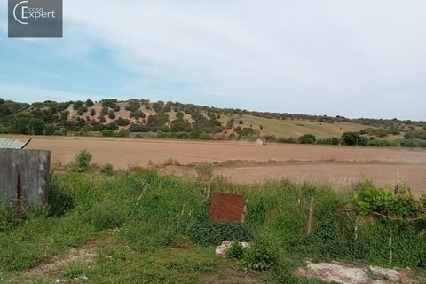 Farm hus i Torrao, Setubal, Torrao - € 250.000 | Ref: FIN_46 - foto 5