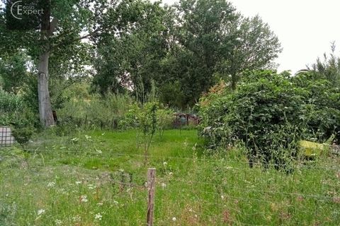 Farm hus i Torrao, Setubal, Torrao - € 250.000 | Ref: FIN_46 - foto 6