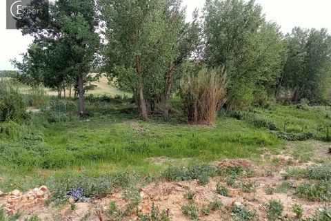 Farm hus i Torrao, Setubal, Torrao - € 250.000 | Ref: FIN_46 - foto 8