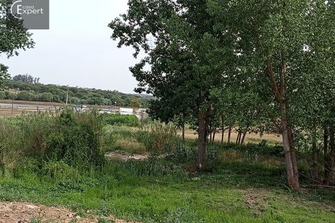 Farm hus i Torrao, Setubal, Torrao - € 250.000 | Ref: FIN_46 - foto 10