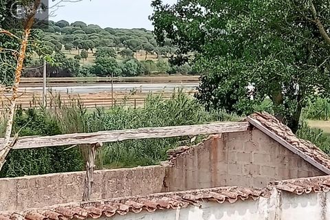 Farm hus i Torrao, Setubal, Torrao - € 250.000 | Ref: FIN_46 - foto 12