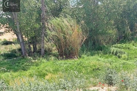 Farm hus i Torrao, Setubal, Torrao - € 250.000 | Ref: FIN_46 - foto 16
