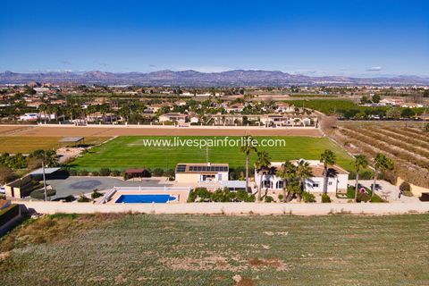 Landejendom i Catral, Alicante, Catral - € 369.000 | Ref: CAT PL1 - foto 4