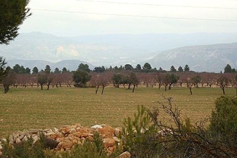 Terra a Zarra, Valencia, Zarra - € 34.000 | Ref: S-1494869 - foto 4