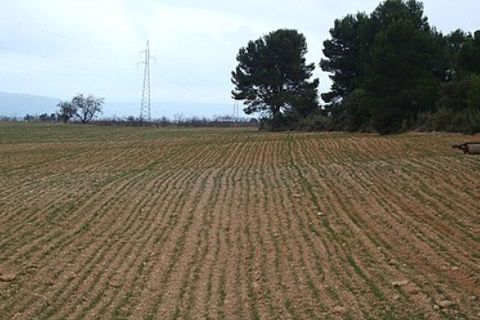 Terra a Zarra, Valencia, Zarra - € 34.000 | Ref: S-1494869 - foto 8