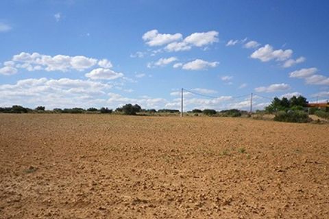 Helårsgrund i Almansa, Albacete, Almansa - € 20.000 | Ref: S-1494916 - foto 4