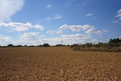 Helårsgrund i Almansa, Albacete, Almansa - € 20.000 | Ref: S-1494916 - foto 8