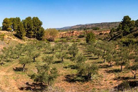 Helårsgrund i Ayora, Valencia, Ayora - € 29.000 | Ref: S-1536150 - foto 4