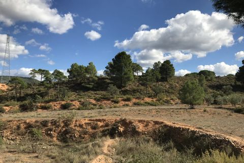 Helårsgrund i Ayora, Valencia, Ayora - € 29.000 | Ref: S-1536150 - foto 8