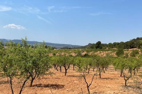 Finca i Ayora, Valencia, Ayora - € 800.000 | Ref: S-1551406 - foto 1