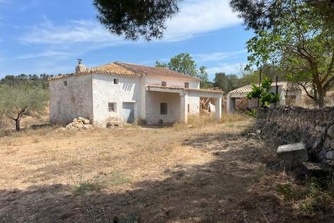 Finca i Ayora, Valencia, Ayora - € 800.000 | Ref: S-1551406 - foto 3