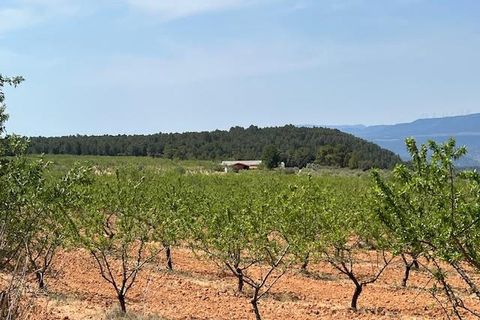 Finca i Ayora, Valencia, Ayora - € 800.000 | Ref: S-1551406 - foto 4