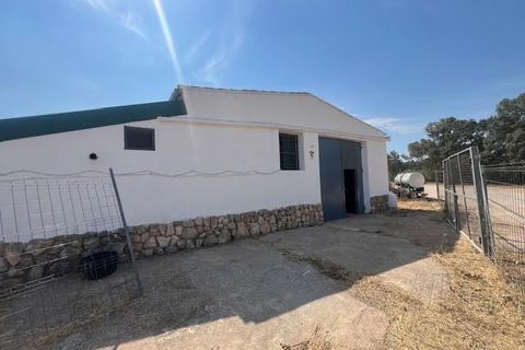 Finca i Ayora, Valencia, Ayora - € 800.000 | Ref: S-1551406 - foto 6