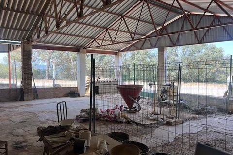 Finca i Ayora, Valencia, Ayora - € 800.000 | Ref: S-1551406 - foto 7