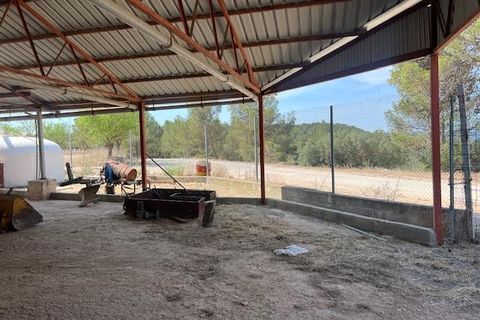 Finca i Ayora, Valencia, Ayora - € 800.000 | Ref: S-1551406 - foto 8