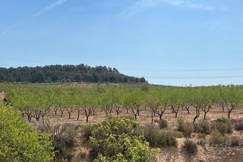 Finca i Ayora, Valencia, Ayora - € 800.000 | Ref: S-1551406 - foto 11